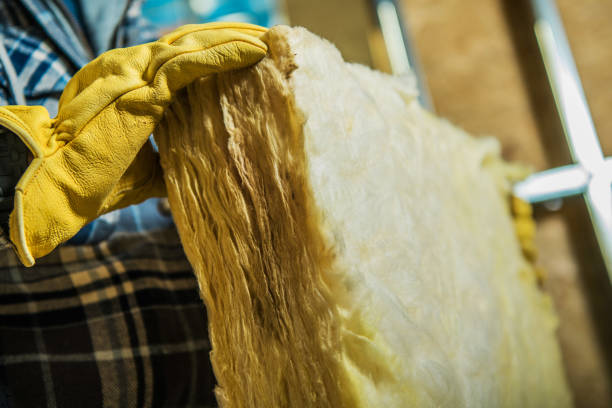 Best Spray Foam Insulation  in Osceola, IA