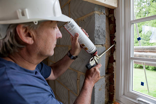 Best Best Insulation Companies  in Osceola, IA